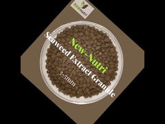 Omri'de Listelenen Deniz Yosunu Ekstraktı, Aljinik Asit, Aljinat