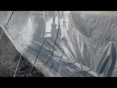 Potasyum humat/sodyum humat Granülleri