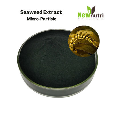 50% Organic Matter 18% K2O 18% Alginic Acid Seaweed Extract Powder