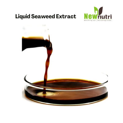 Nitrogen Free Organic Water Soluble Liquid Seaweed Extract Fertilizer