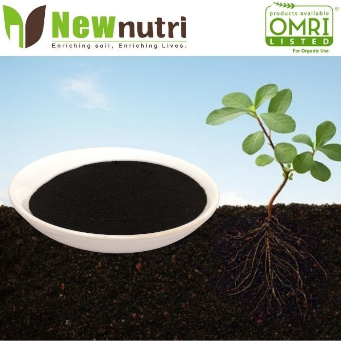 Black Powder 3% Nitrogen Seaweed Extract Powder Fertilizer