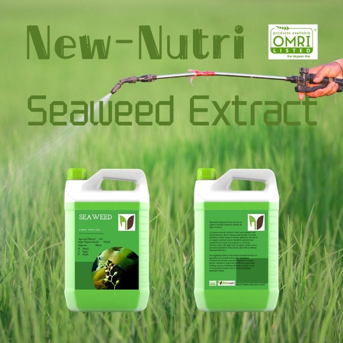 No Pollution 10% Green Liquid Seaweed Extract Fertilizer