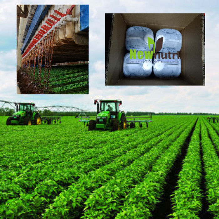 Nitrogen Free Organic Water Soluble Liquid Seaweed Extract Fertilizer